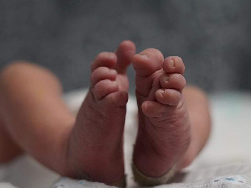 Maternità surrogata: lo scontro si accende in Parlamento